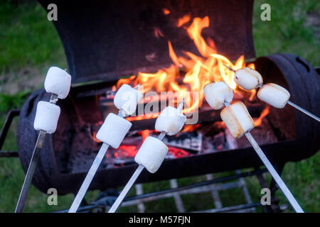 marshmallow on metal skewer Stock Photo