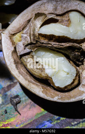 Macro, nut, brown, detail, texture, shine, shadow, textured, design Stock Photo