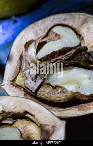 Macro, nut, brown, detail, texture, shine, shadow, textured, design Stock Photo