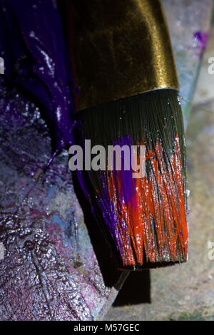 brush, tassel, macro, palette, villi, paint, red, purple, detail, shine, shadow, in paint Stock Photo