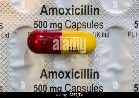Amoxicillin capsules, antibiotics pills. Stock Photo