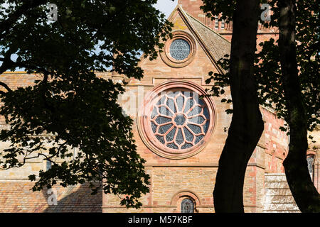 Reconstructed Rose window in the south transept of St Magnus Cathedral, Kirkwall, Orkney, Scotland Stock Photo