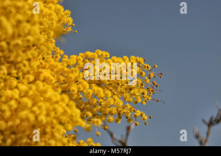 View of the symbol of the women's rights in Albania Stock Photo