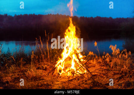 Big campfire at night in the forest Stock Photo