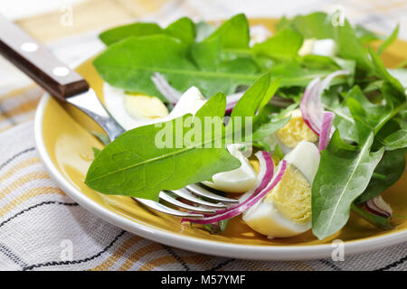 Salad with dandelion leaves, boiled chicken eggs, and onion Stock Photo