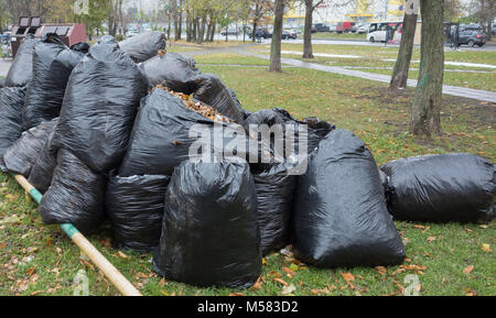 Black bags with garbage on the green grass in the fall. Stock Photo