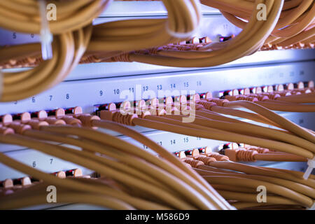 Closeup of yellow cables connected to server Stock Photo