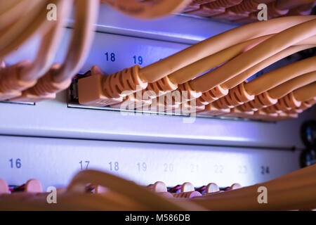 Closeup of yellow cables connected to server Stock Photo