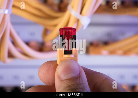 Cropped image of hand holding network cable plug in server room Stock Photo