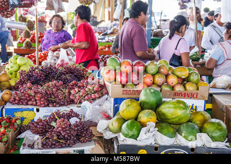 Miami Florida,Homestead,highway Route 1,One,farmers market,Hispanic fruits,grapes,mangos,papayas,bargains,shoppers,FL080302092 Stock Photo