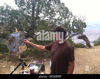 Grand Canyon Celebration of Art Joshua Been, Artist. Joshua Been, Salida, CO, paints an old Utah Juniper tree along Hermits Rest Road near Hopi Point on Sept 13th, 2011.  Been is one of 30 artists invited to participate in the 3rd Annual Celebration of Art, hosted by  the Grand Canyon Association. Stock Photo