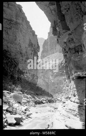 Grand Canyon Matthes Survey of . BLACK AND WHITE GLASS LANTERN SLIDE. LABEL READING 'LOOKING UP KANAB CANYON' (LARUE). USGS LABEL ATTACHED CIRCA 1902. WITH A GROUP OF SLIDES FROM THE MATTHES SURVEY EXPEDITION IN THE GRAND CANYON - CIRCA 1902 Stock Photo