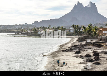 older couple walking 2 dogs & gathering shells along shoreline of Sea of Cortez at San Francisco beach beyond luxury residential area of San Carlos Stock Photo