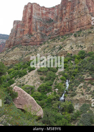 Grand Canyon Nat Park N Kaibab Trail   Roaring Springs. Where the descending North Kaibab Trail meets the flatter bottom of Bright Angel Canyon, 5 miles/ 8 km from the North Kaibab Trailhead, Roaring Springs may be seen. Here, water gushes forth directly out of the cliffs, cascading over moss and fern to form Bright Angel Creek (which will be a constant companion all the way to the Colorado River).   This giant spring provides drinking water for every visitor and resident within Grand Canyon National Park. The water is delivered to the South Rim via a pipeline buried beneath the North Kaibab T Stock Photo