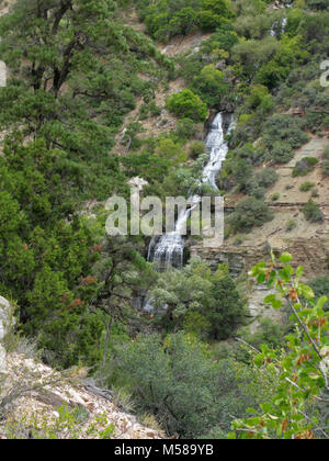 Grand Canyon Nat Park N Kaibab Trail   Roaring Springs. Where the descending North Kaibab Trail meets the flatter bottom of Bright Angel Canyon, 5 miles/ 8 km from the North Kaibab Trailhead, Roaring Springs may be seen. Here, water gushes forth directly out of the cliffs, cascading over moss and fern to form Bright Angel Creek, which follows the North Kaibab Trail all the way to the Colorado River.   This giant spring provides drinking water for every visitor and resident within Grand Canyon National Park. The water is delivered to the South Rim via a pipeline buried beneath the North Kaibab  Stock Photo