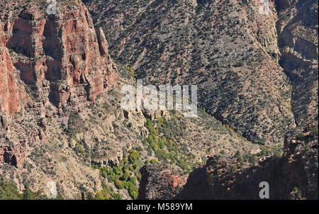 Grand Canyon Nat Park Roaring Springs From Above . (8000 x 5019) Roaring Springs may be seen near the bottom of this photo and slightly to the right of center. It is located 5 miles/ 8 km from the North Kaibab Trailhead, and around 3,040 feet/ 920 m below the North Rim. Here, water gushes forth directly out of the cliffs, cascading over moss and fern to form Bright Angel Creek - which follows the North Kaibab Trail all the way to the Colorado River.   This giant spring provides drinking water for every visitor and resident within Grand Canyon National Park. The water is delivered to the South  Stock Photo