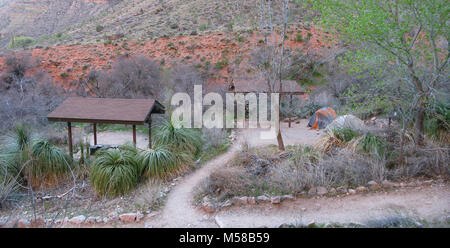 Grand Canyon National Park Indian Garden . Indian Garden Campground (CIG), located along the Bright Angel Trail, is a beautiful riparian area filled with cottonwood trees. A small creek passes through on its way to the Colorado River.   To camp in this campground you must obtain first a backcountry permit. Stock Photo