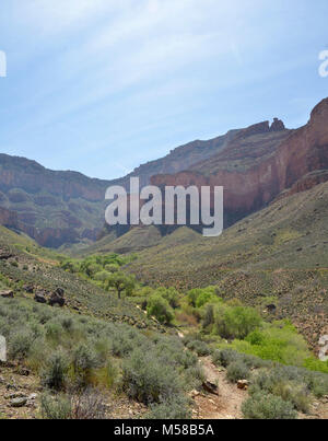 Grand Canyon National Park Indian Garden . Approaching Indian Garden on the East Tonto Trail. The South Rim is off in the distance.   Indian Garden Campground (CIG), located along the Bright Angel Trail, is a beautiful riparian area filled with cottonwood trees. A small creek passes through on its way to the Colorado River.  To camp in this campground you must obtain first a backcountry permit. Stock Photo