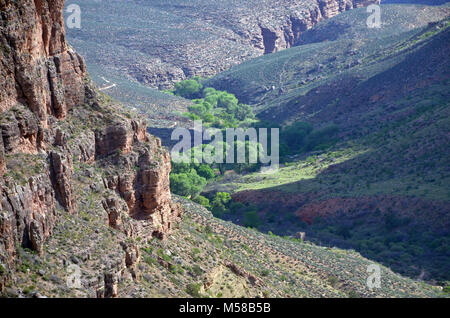 Grand Canyon National Park Indian Garden . Indian Garden Campground (CIG), located along the Bright Angel Trail, is a beautiful riparian area filled with cottonwood trees. A small creek passes through on its way to the Colorado River.   To camp in this campground you must obtain first a backcountry permit. Stock Photo