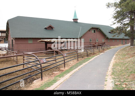Grand Canyon National Park Livery Building () . The Livery Stable was built in 1906 along with the Mule Barn and the Blacksmith/Saddle Shop to serve the El Tovar Hotel. Collectively known as El Tovar Stables, these three buildings were designed by staff of the Fred Harvey Company in the Craftsman style.   The Livery Stable was built to house carriages and horses used to give visitors tours of the South Rim. These tours were eventually discontinued following the growing popularity of automobile tourism. In the 1940s the pack mules used to carry tourists into the Canyon were moved from the Mule  Stock Photo