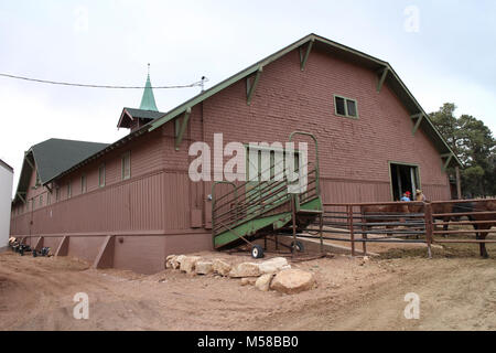 Grand Canyon National Park Livery Building () . The Livery Stable was built in 1906 along with the Mule Barn and the Blacksmith/Saddle Shop to serve the El Tovar Hotel. Collectively known as El Tovar Stables, these three buildings were designed by staff of the Fred Harvey Company in the Craftsman style.   The Livery Stable was built to house carriages and horses used to give visitors tours of the South Rim. These tours were eventually discontinued following the growing popularity of automobile tourism. In the 1940s the pack mules used to carry tourists into the Canyon were moved from the Mule  Stock Photo