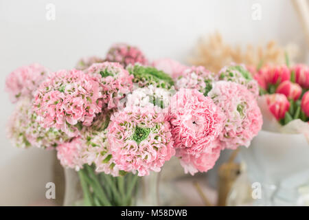Persian buttercup. lace with many petals. Bunch pale pink ranunculus flowers light background. Wallpaper