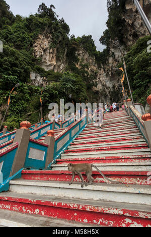 Kuala Lumpur, Malaysia: January 24, 2018: Monkey on the stairs leading up to the Batu Caves entrance in Kuala Lumpur Malaysia. Batu Caves are located  Stock Photo