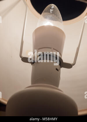 close up of lamp bulb in bedside white table lamp; essex; england; uk Stock Photo