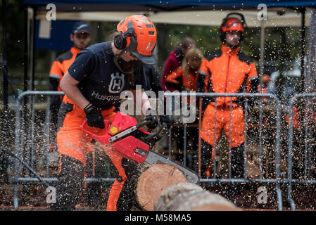 Logging Dutch Chapionships Stock Photo - Alamy