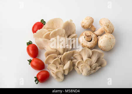 Vegetable: Top View of Oyster and Button Mushrooms with Red Baby Tomatoes Isolated on White Background Stock Photo