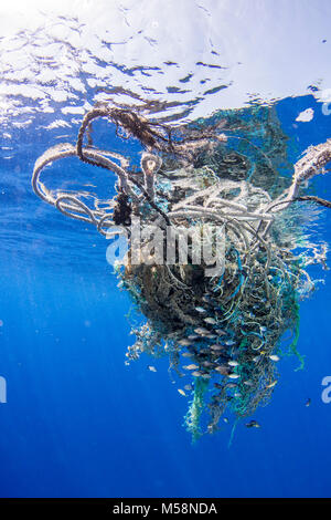 Currents accumulate marine debris in areas around the global ocean.
