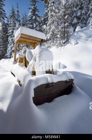 A snow covered Cat 931 loader after a heavy winter snowfall, up on Eagle View, in Sanders County, Montana Stock Photo