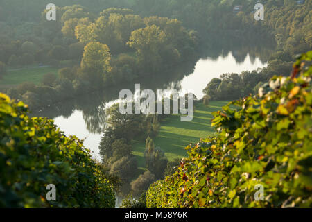 Blick vom Michaelsberg auf den Neckar bei Gundelsheim, Baden-Württemberg, Deutschland, Europa Stock Photo