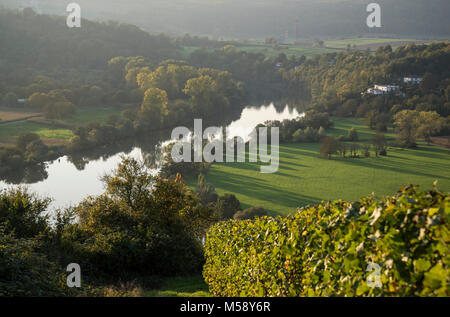 Blick vom Michaelsberg auf den Neckar bei Gundelsheim, Baden-Württemberg, Deutschland, Europa Stock Photo