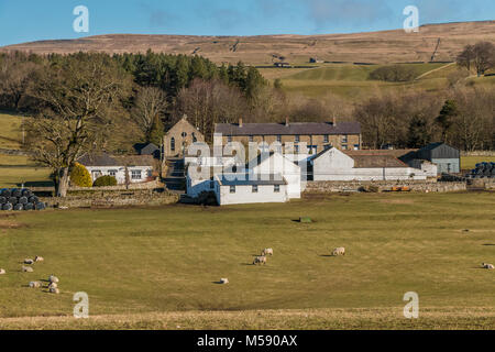 North Pennines landscape, the rural hamlet of Bowlees, Teesdale, UK on a fine winter morning Stock Photo