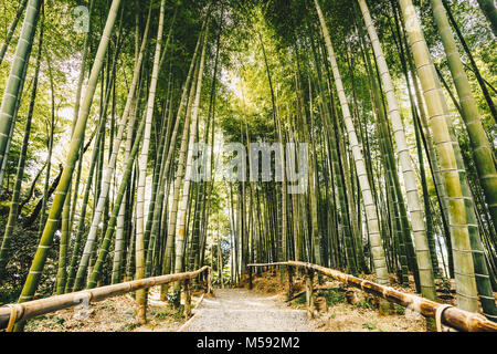 Bamboo forest Arashiyama near Kyoto, Japan Stock Photo