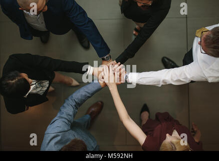 Business team putting hands together at the office. Top view of diverse business people joining hands for unity and teamwork. Stock Photo