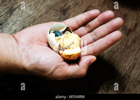 A partially opened balut, cooked fertilized duck egg, pictured on a hand in Metro Manila, The Philippines Stock Photo