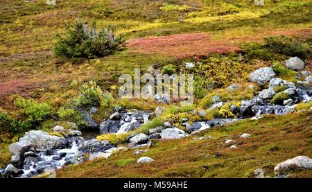 Small creek running down the side of a mountain in Alaska Stock Photo