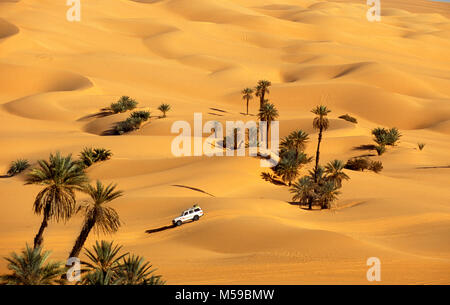 Libya. Ubari. Sahara desert. Ubari Sandsea. Palm trees. Sand dunes. SUV, 4x4 car. Stock Photo