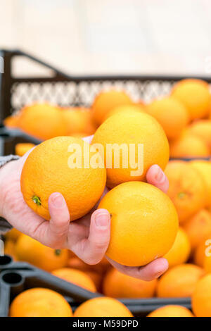 A woman's hand with three oranges. Stock Photo