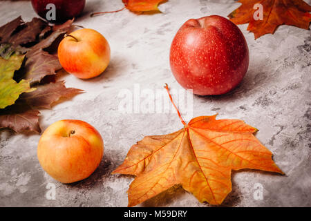 Red and yellow ripe apples on a gray concrete background among yellow dry maple leaves Stock Photo