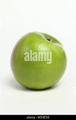 Malus domestica 'Green Balsam', an heirloom English apple variety, white background, UK Stock Photo