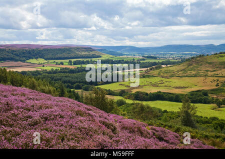 Cleveland Hill from Kildale Moor North York Moors national; park North Yorkshire Stock Photo
