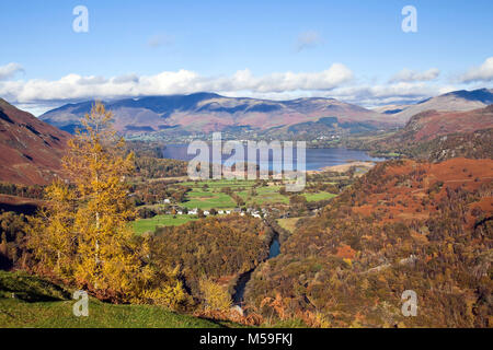 Derwentwater and distant Skiddaw from Castle Crag Borrowdale Lake District Stock Photo