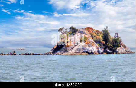 A group of unidentifiable people walking on exposed rocks toward Whyte Islet Park on Whytecliff Island at Whytecliffe Park Beach in West Vancouver, BC Stock Photo