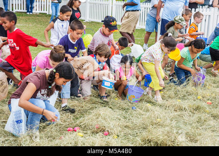 Miami Florida,Hialeah,Milander Park,Easter Egg stravaganza,fair,community Hispanic holiday,festive,tradition,egg hunt,boy boys,male kid kids child chi Stock Photo