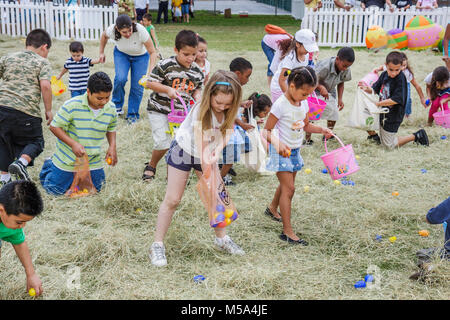 Miami Florida,Hialeah,Milander Park,Easter Egg stravaganza,fair,community Hispanic festive,tradition,plastic egg hunt,boy boys,male kid kids child chi Stock Photo