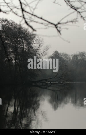 Eerie lake with a fallen tree, dark grey winter day. Trees reflecting in the water. Stock Photo