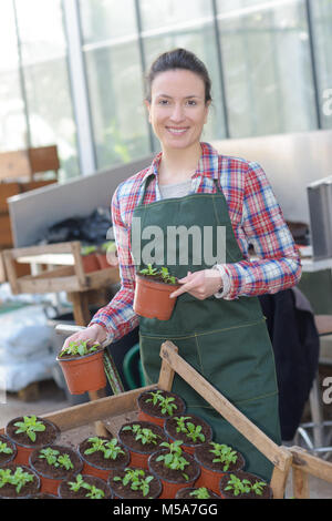 inspired smiling young woman florist in greenhouse Stock Photo - Alamy